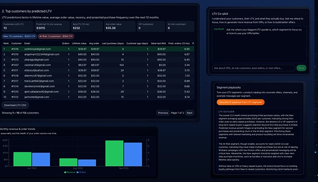 AI Lifetime Value Analyzer dashboard with a custom AI agent