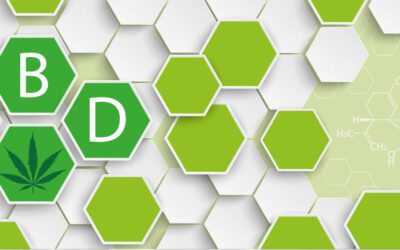 Cannabis Dispensaries Can Now Accept Credit Cards