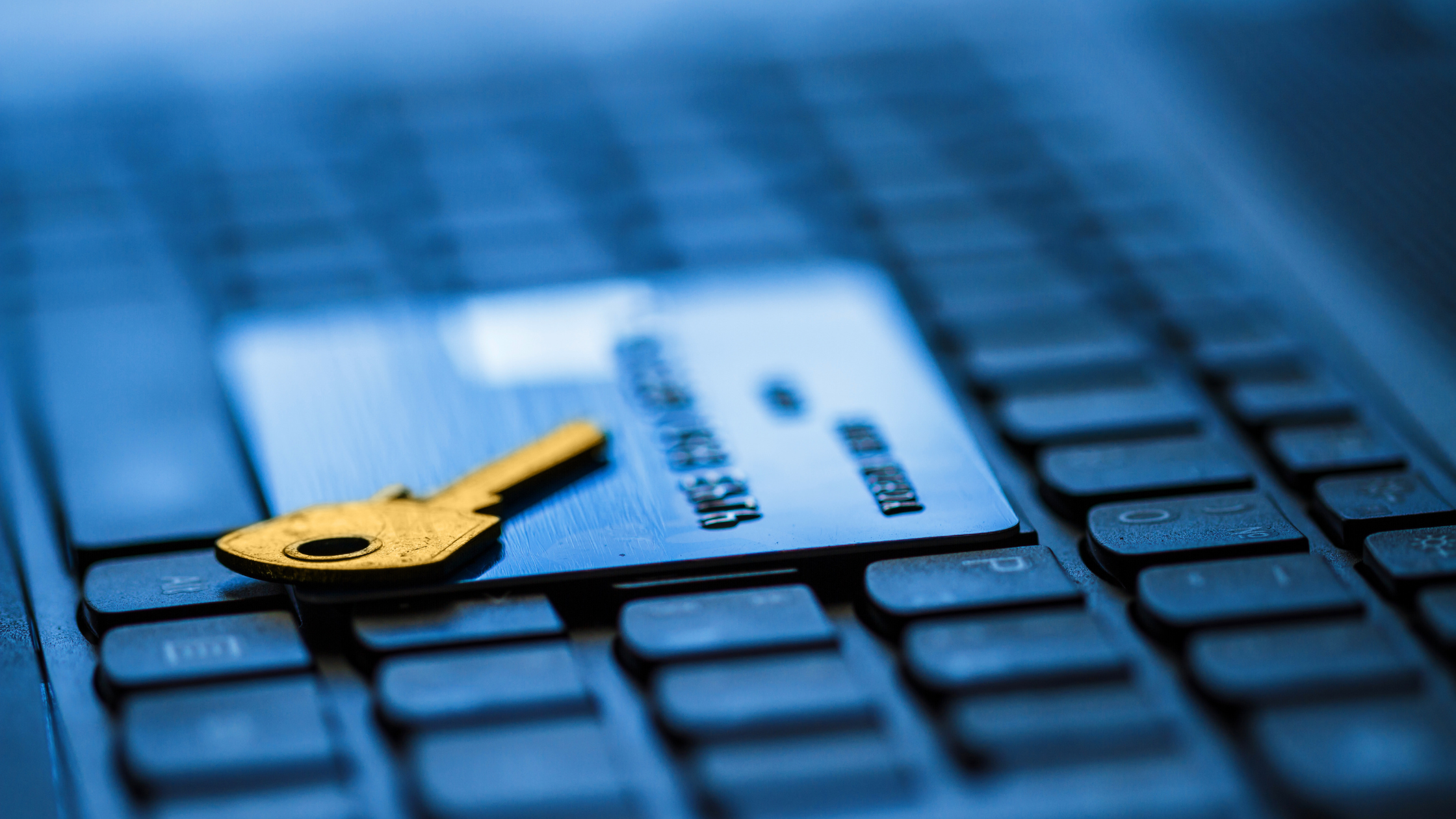 Customer Token Vault blog
