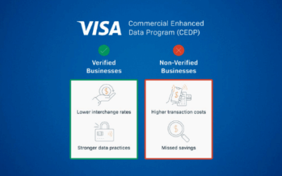 Understanding Visa’s Commercial Enhanced Data Program (CEDP)