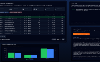 LTV Calculator Alternatives: Why Customer Lifetime Value Is the Missing Link in eCommerce Growth
