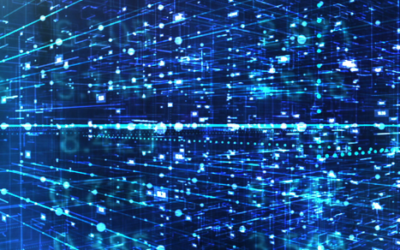 How can I use payment data to understand and grow my small business revenue?