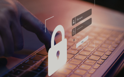 How do I choose between a payment gateway and a merchant account for my small business?